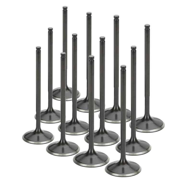 SPT Intake Valves