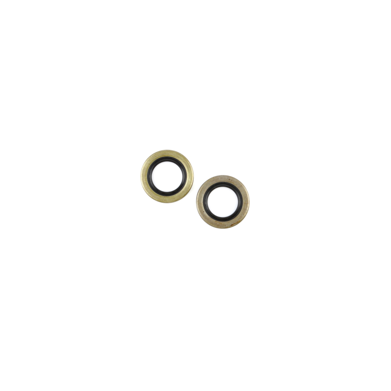 CG Oil Seal Kit