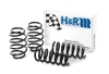 HR Sport Springs