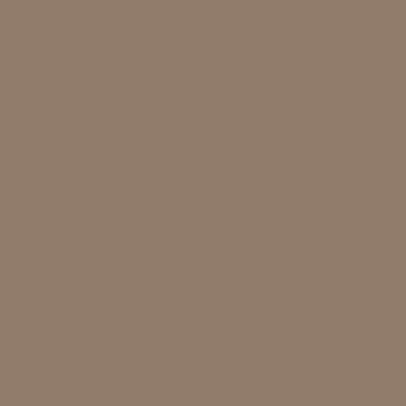 Covercraft 21-26 Hyundai Sonata SeatSaver Custom Seat Cover - Waterproof Taupe thumbnail 4