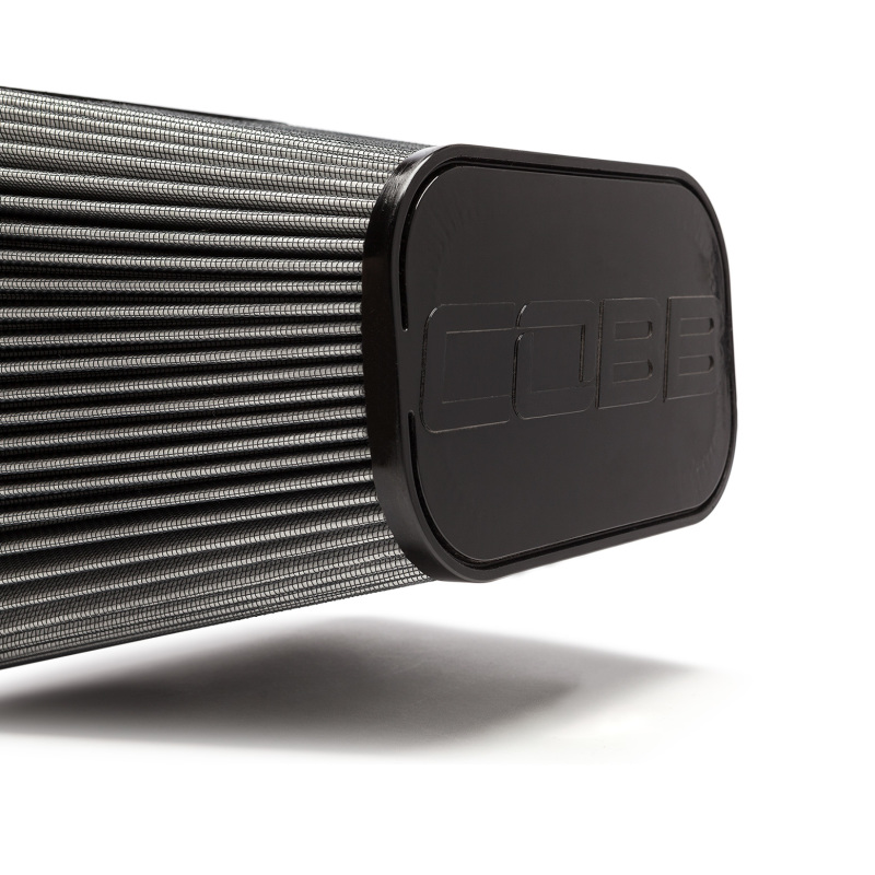 Cobb 17-20 Ford F-150 Raptor High Flow Replacement Dry Media Air Filter thumbnail 3