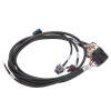 EDE Wiring Harness
