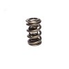 CCA Valve Springs