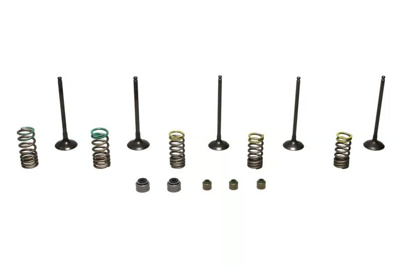 WIS Valve Kits