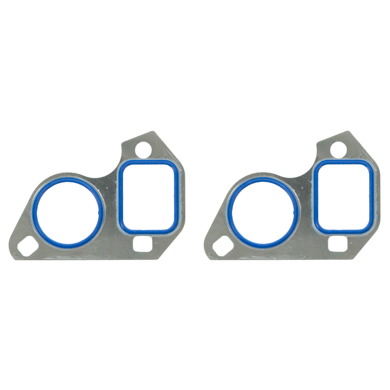 FEL Water Pump Gaskets