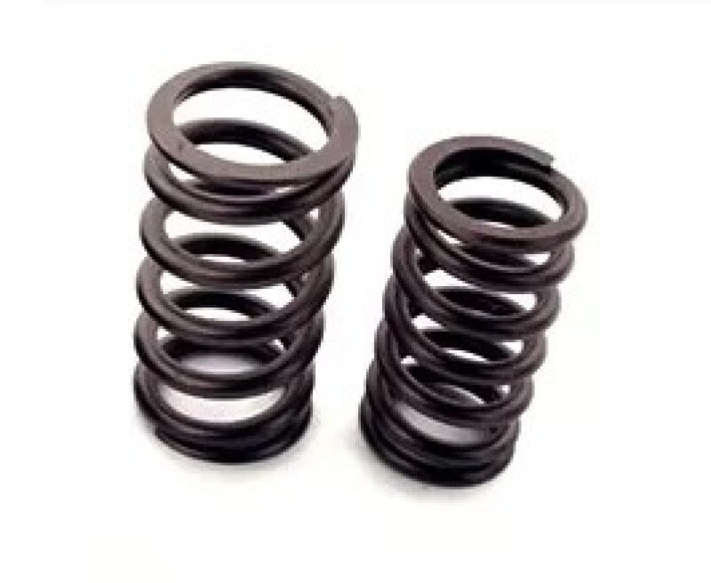 FER Valve Springs - Sets