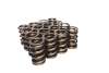 CCA Valve Spring Sets