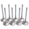 EDE Intake Valves