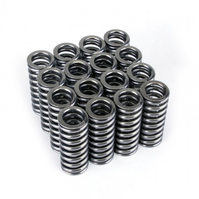 SK Tuner Valve Springs