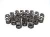 CCA Valve Spring Sets