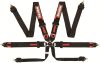 RaceQuip Black FIA CAMLOCK 6pt Pull Down Lap thumbnail 5
