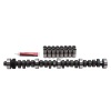 EDE Performer RPM Camshaft