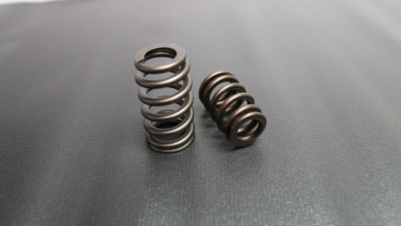 FER Powersports Valve Springs - Sets