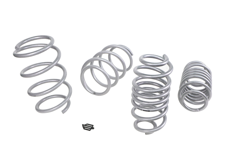 WL Performance Springs