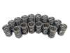 CCA Valve Spring Sets