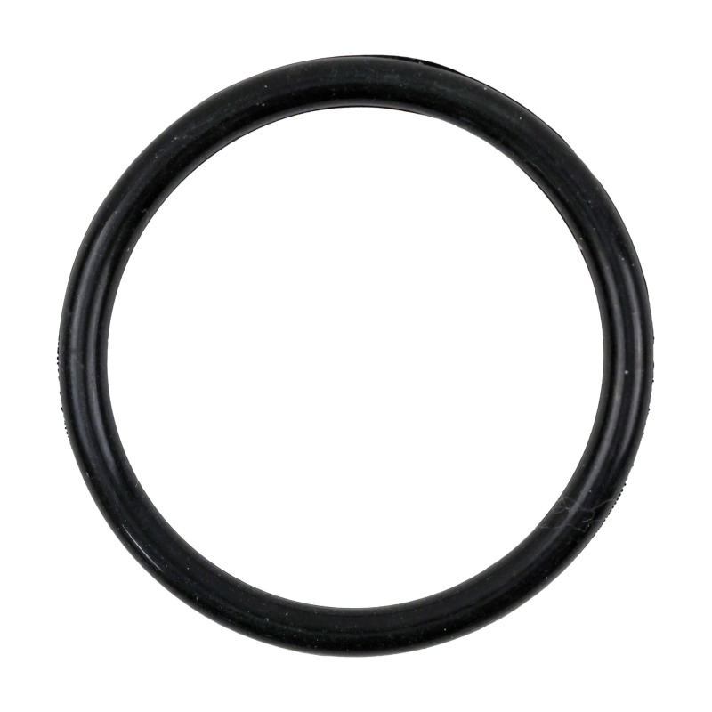 Engine Coolant Thermostat Housing Seal