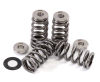 GSC Valve Spring Kits