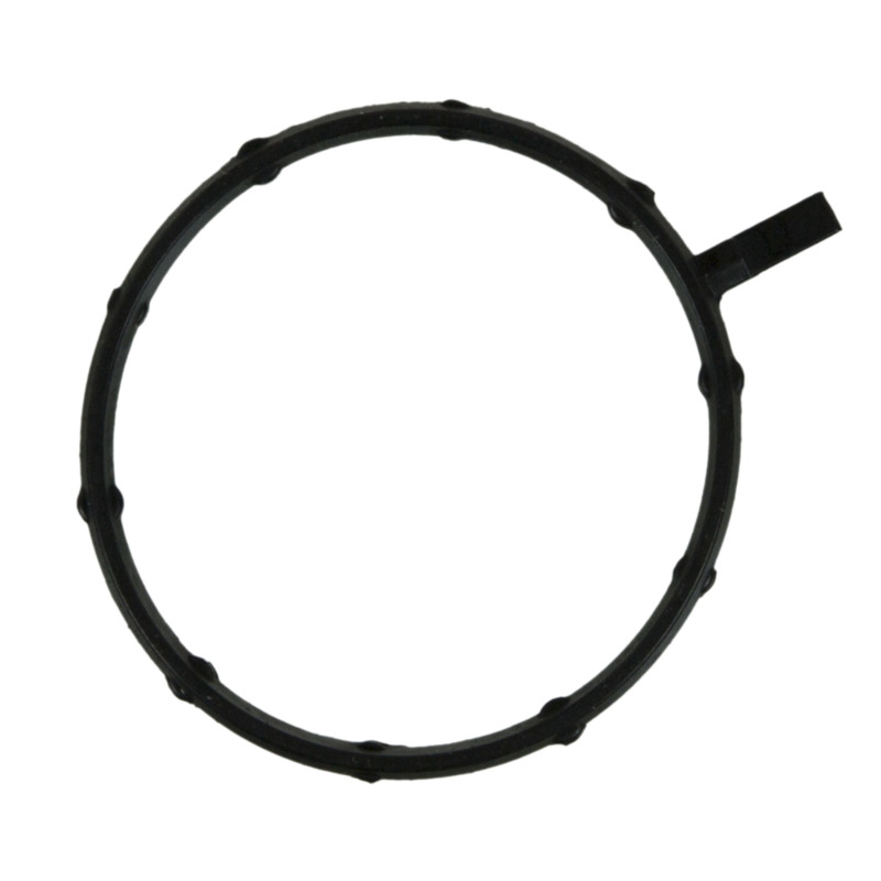 FEL Valve Gaskets