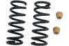 BT Coil Spring Set
