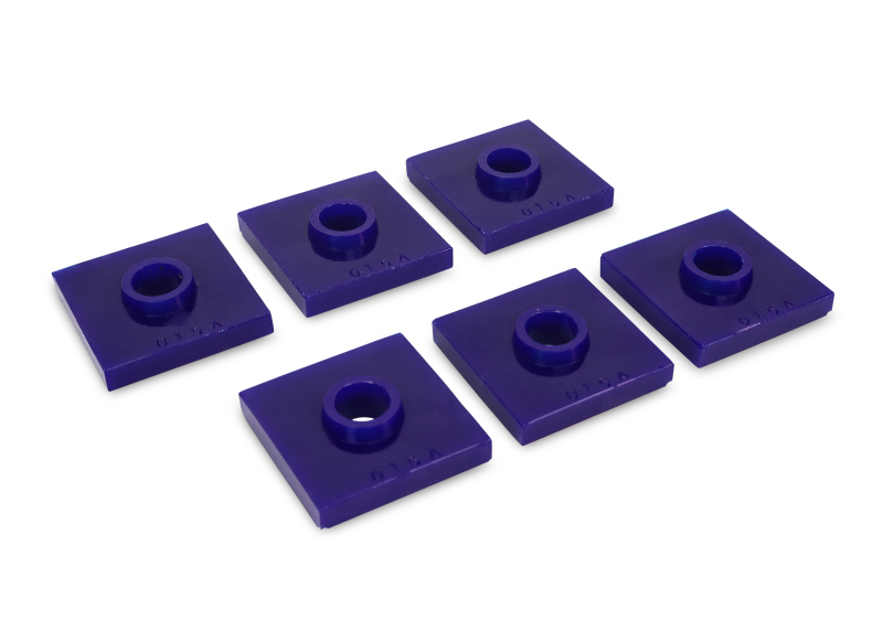 SPR Bushings - Crossmember