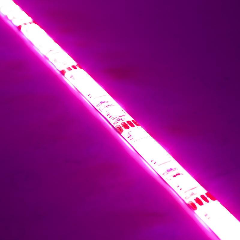 Oracle Engine Bay LED Kit 48in - Pink