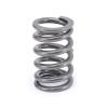 CCA Valve Springs