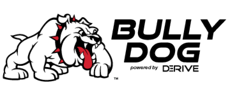 Bully Dog A-pillar Mount GT PMT and WatchDog Dodge Ram 1500-3500 10-11 thumbnail 9