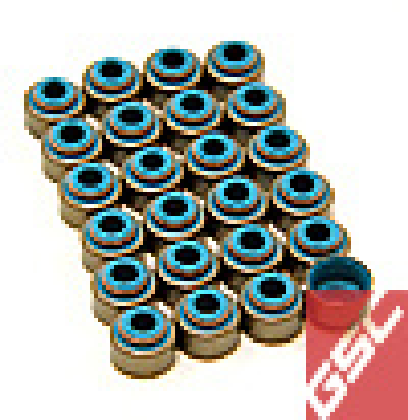 GSC Valve Stem Seal Sets