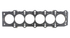 CG Head Gaskets