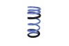 ISC Triple S Springs