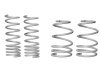 WL Performance Springs