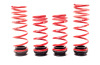 HR VTF Adj Lowering Springs