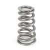CCA Valve Spring Sets
