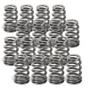 SPT Beehive Valve Springs