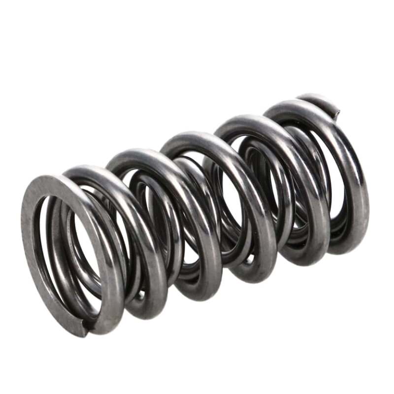 MAN Valve Spring Kits