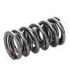 MAN Valve Spring Kits