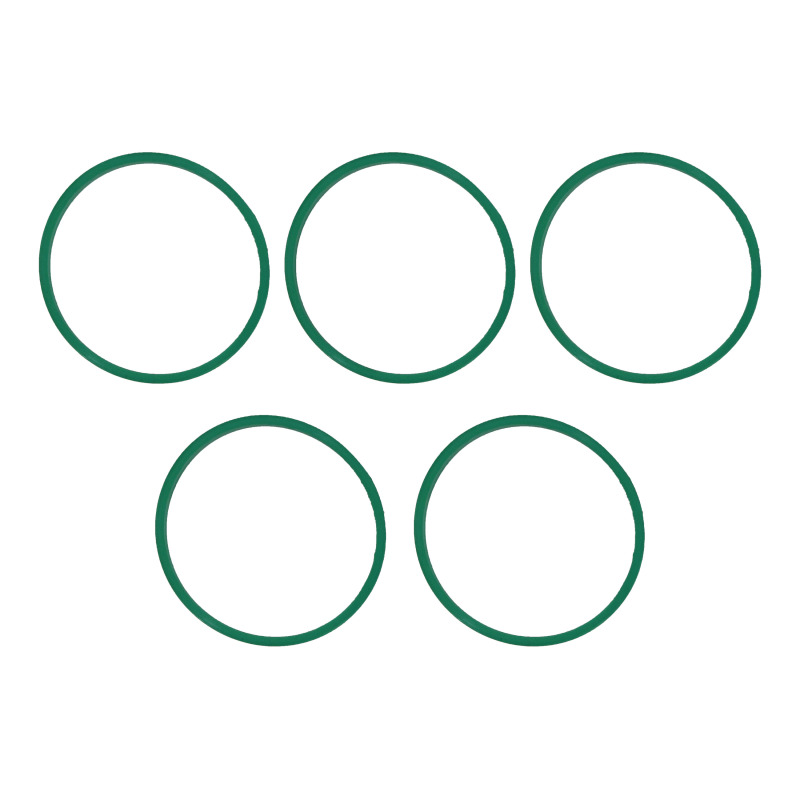 FEL Fuel Injection Plenum Gaskets