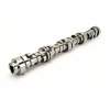 CCA Camshafts