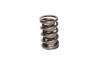 CCA Valve Springs