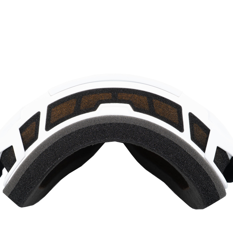 Answer ANS ARC II LE Goggles