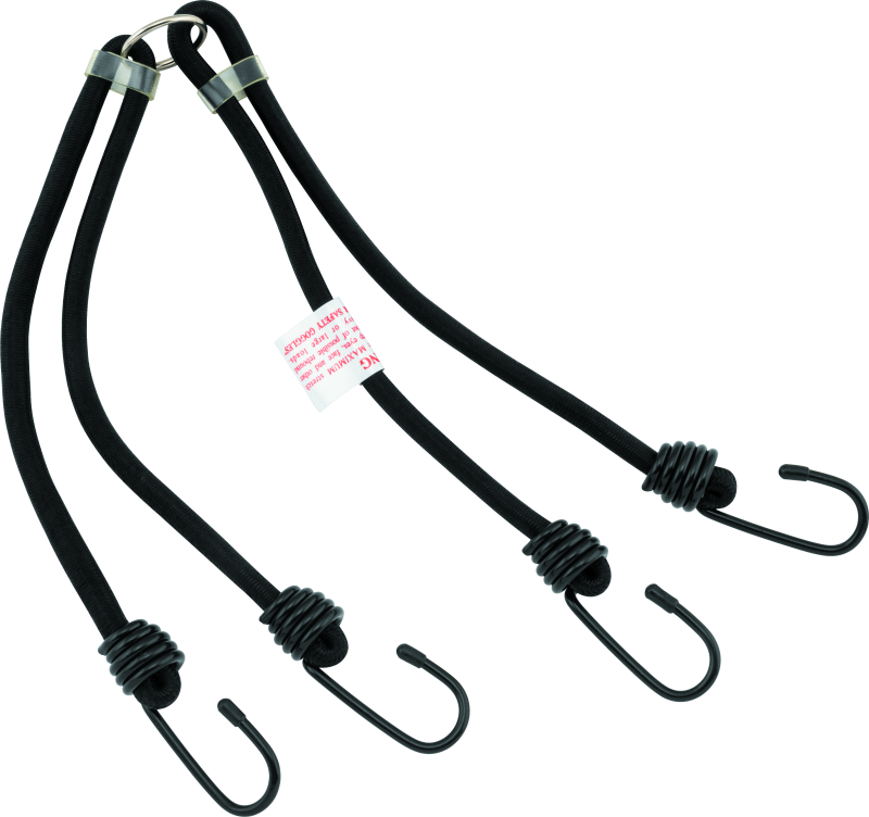 BikeMaster BKM Tie Downs