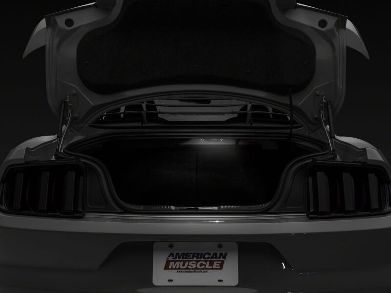 Raxiom 15-23 Ford Mustang Axial Series Stage 1 Interior LED Lighting Kit- Cool White thumbnail 9