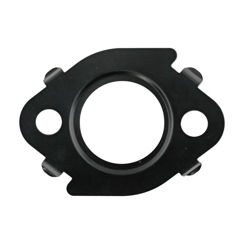 FEL Valve Gaskets
