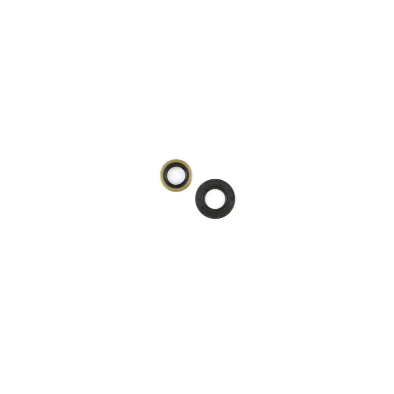CG Oil Seal Kit