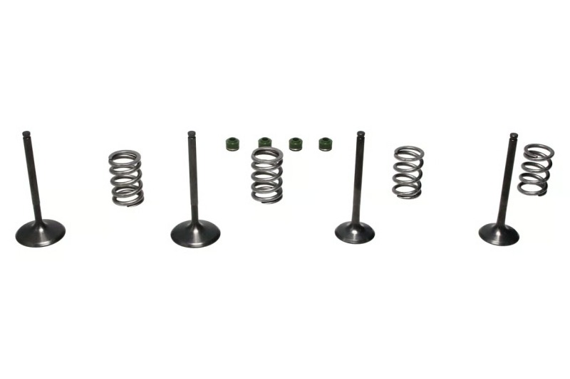 Wiseco 06-11 Suzuki LT-R450 Steel Valve Set