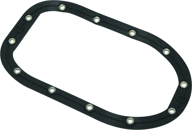 Twin Power 06-17 Dyna Models Fuel Pump Plate Seal Viton Replaces H-D 75248-04 thumbnail 2