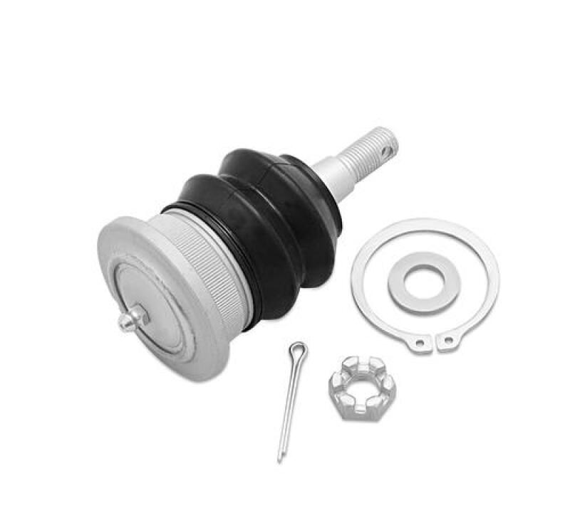 SPR Bushings - Control Arm