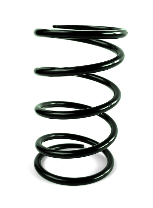 EPI Clutch Springs