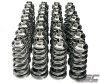 GSC Valve Spring Kits