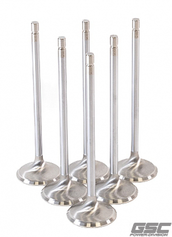 GSC Intake Valve Sets -STD